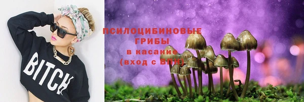 spice Ачинск