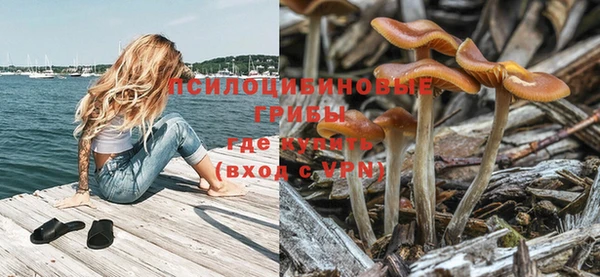 альфа пвп Бердск