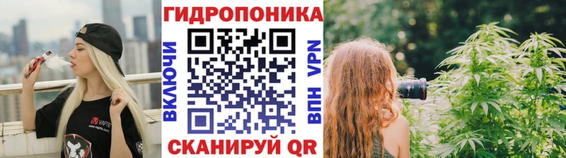Купить где  Вышний Волочёк  Каннабис Amnesia 